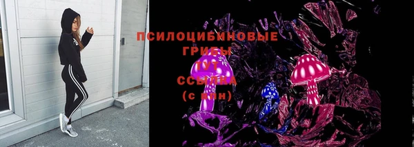 герыч Алексин
