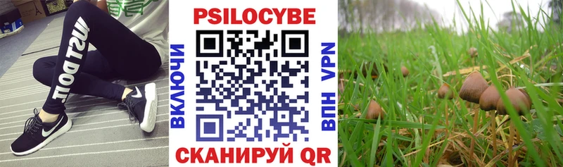 Галлюциногенные грибы MAGIC MUSHROOMS Конаково